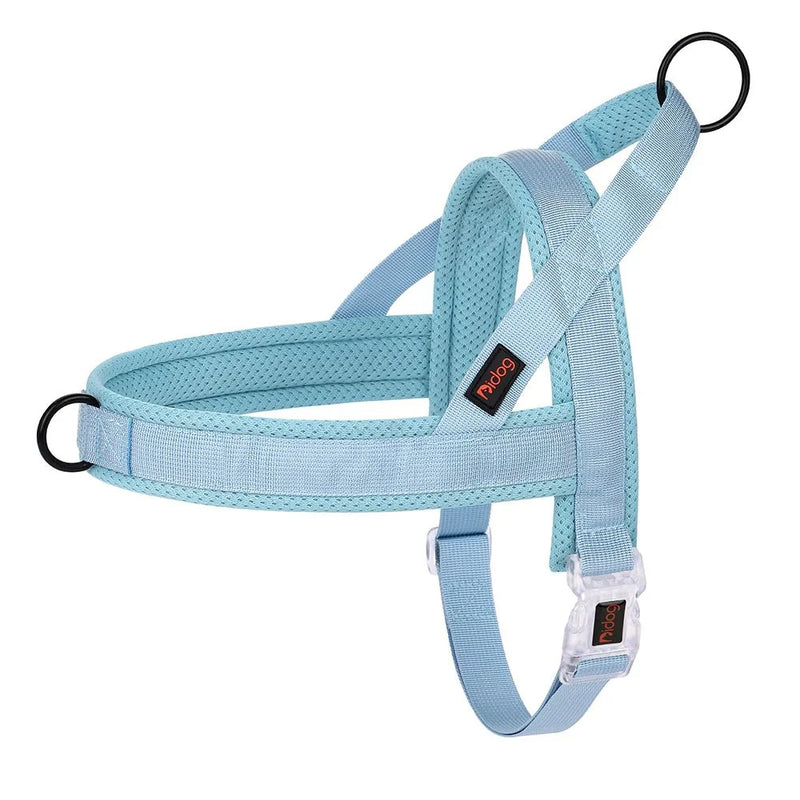 https://cdn.shopify.com/s/files/1/0647/9170/7830/files/harnais-gros-chien-pas-cher-4924739.webp?v=1777923850