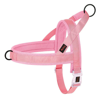 https://cdn.shopify.com/s/files/1/0647/9170/7830/files/harnais-gros-chien-pas-cher-2239447.webp?v=1777923851