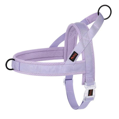 https://cdn.shopify.com/s/files/1/0647/9170/7830/files/harnais-gros-chien-pas-cher-4022161.webp?v=1777923850