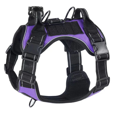 https://cdn.shopify.com/s/files/1/0647/9170/7830/files/harnais-gros-chien-violet-2083934.webp?v=1777924089