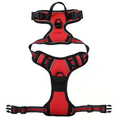 https://cdn.shopify.com/s/files/1/0647/9170/7830/files/harnais-gros-chien-xxl-3175190.webp?v=1777923976