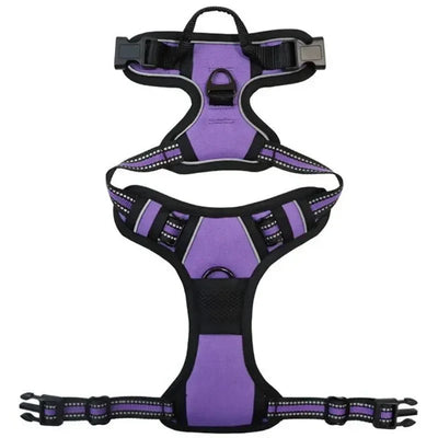 https://cdn.shopify.com/s/files/1/0647/9170/7830/files/harnais-gros-chien-xxl-8544883.webp?v=1777923974