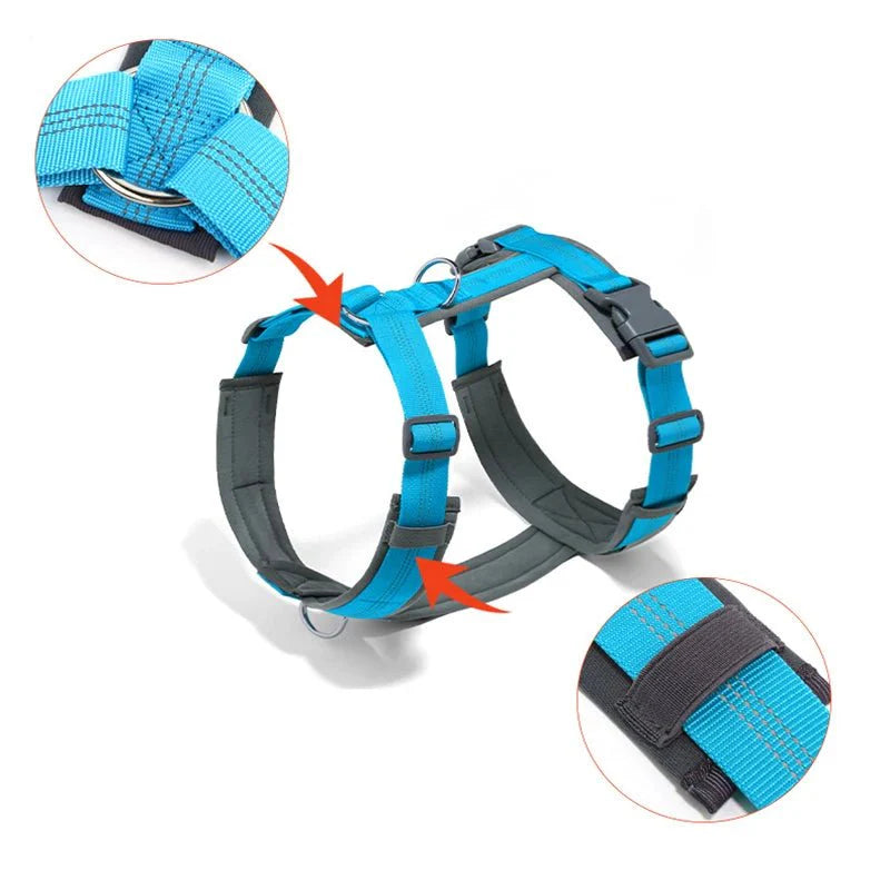 https://cdn.shopify.com/s/files/1/0647/9170/7830/files/harnais-hunter-chien-1302041.webp?v=1777923368