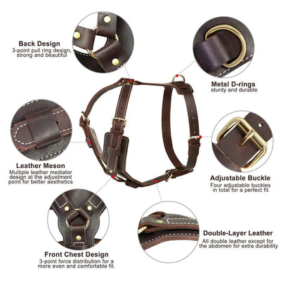 https://cdn.shopify.com/s/files/1/0647/9170/7830/files/harnais-luxe-pour-chien-1249657.webp?v=1777923676