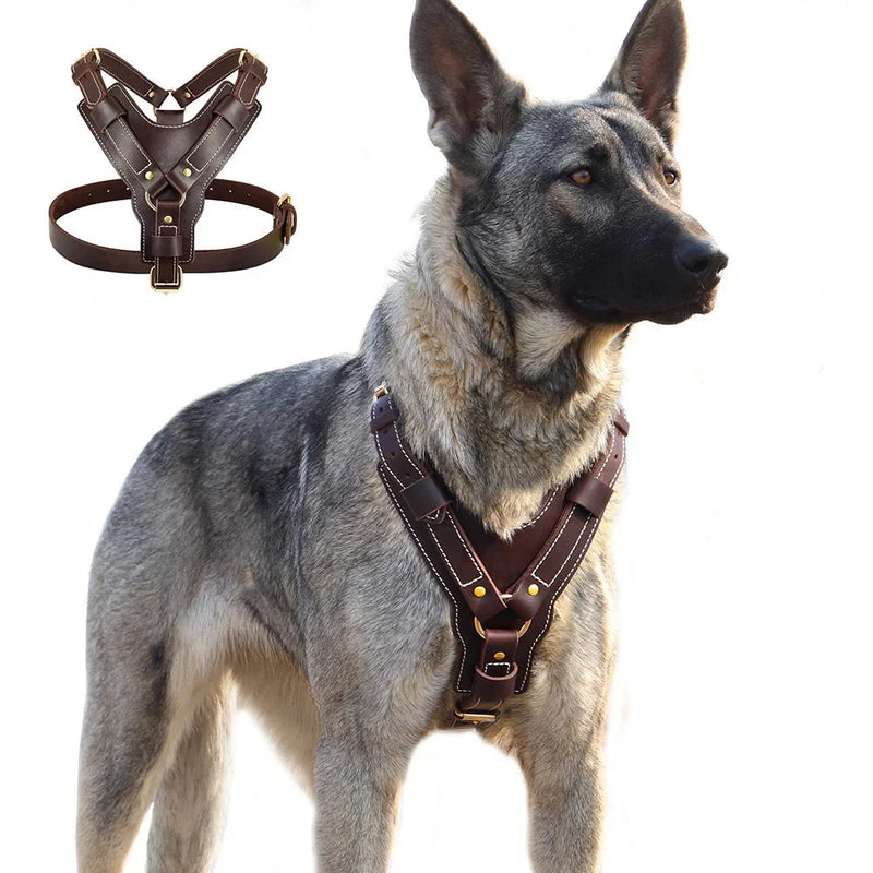 https://cdn.shopify.com/s/files/1/0647/9170/7830/files/harnais-luxe-pour-chien-3513810.webp?v=1777923676