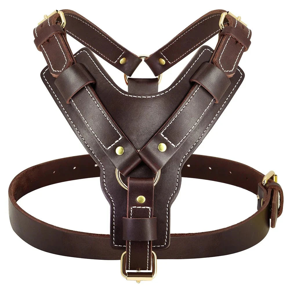 https://cdn.shopify.com/s/files/1/0647/9170/7830/files/harnais-luxe-pour-chien-3513810.webp?v=1777923676