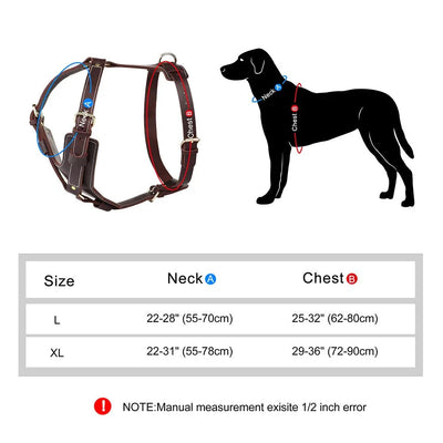 https://cdn.shopify.com/s/files/1/0647/9170/7830/files/harnais-luxe-pour-chien-7545119.webp?v=1777923675