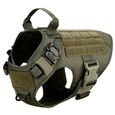 https://cdn.shopify.com/s/files/1/0647/9170/7830/files/harnais-militaire-pour-chien-8198337.webp?v=1777924873