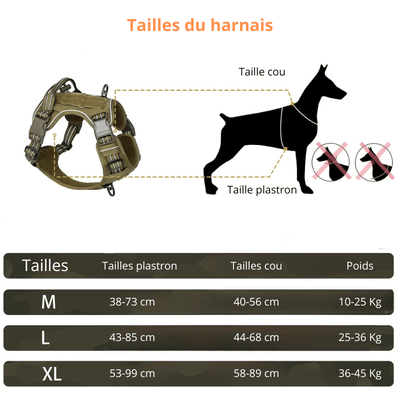 https://cdn.shopify.com/s/files/1/0647/9170/7830/files/harnais-militaire-pour-petit-chien-8129166.png?v=1777925416