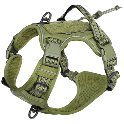 https://cdn.shopify.com/s/files/1/0647/9170/7830/files/harnais-militaire-pour-petit-chien-8959029.webp?v=1777925415