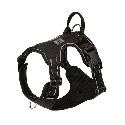 https://cdn.shopify.com/s/files/1/0647/9170/7830/files/harnais-nylon-gros-chien-5690999.webp?v=1777924150