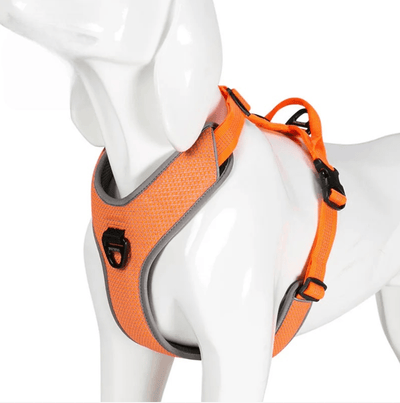 https://cdn.shopify.com/s/files/1/0647/9170/7830/files/harnais-parachute-petit-chien-8644412.png?v=1777924091