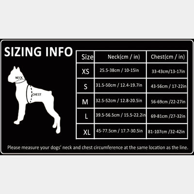https://cdn.shopify.com/s/files/1/0647/9170/7830/files/harnais-parachute-petit-chien-9866361.webp?v=1777924090