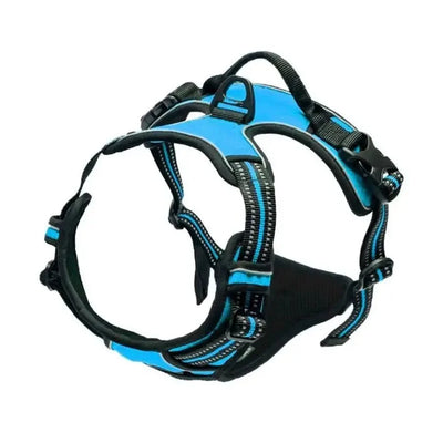 https://cdn.shopify.com/s/files/1/0647/9170/7830/files/harnais-pas-cher-pour-gros-chien-4634617.webp?v=1777923730