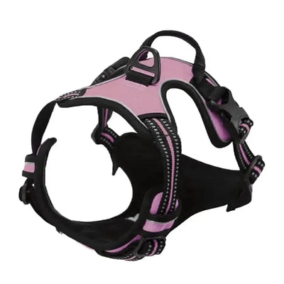 https://cdn.shopify.com/s/files/1/0647/9170/7830/files/harnais-pas-cher-pour-gros-chien-5799339.webp?v=1777923731