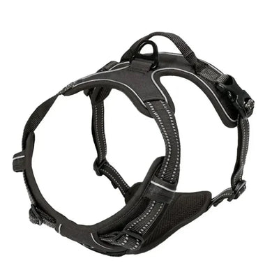 https://cdn.shopify.com/s/files/1/0647/9170/7830/files/harnais-pas-cher-pour-gros-chien-6978310.webp?v=1777923730