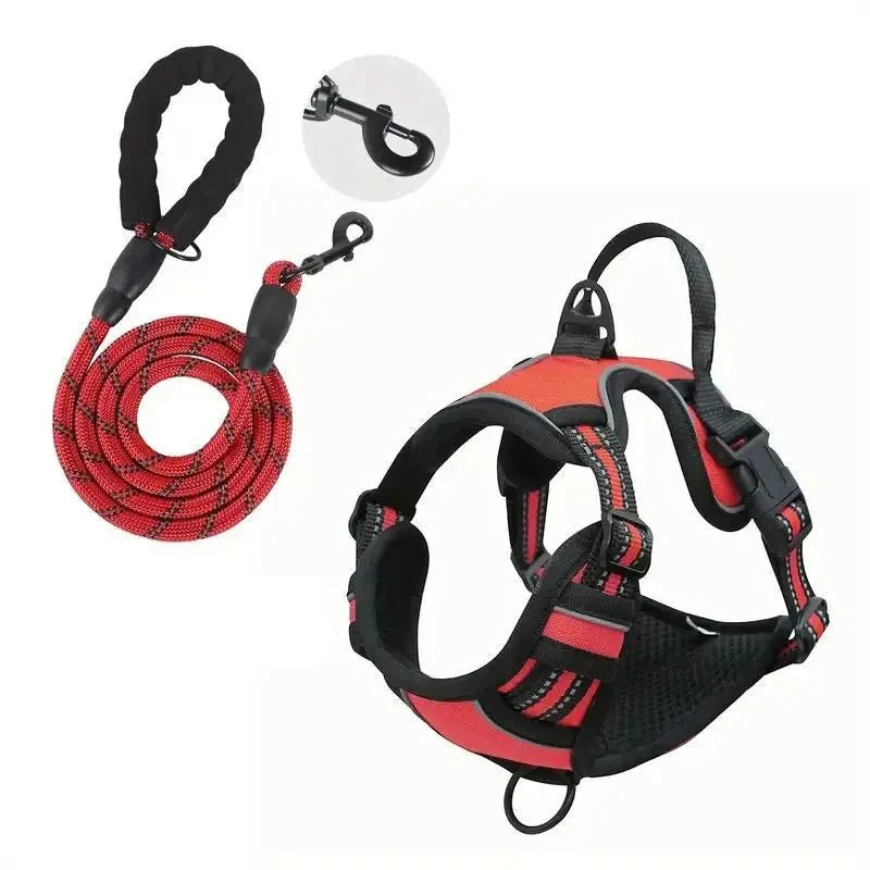 https://cdn.shopify.com/s/files/1/0647/9170/7830/files/harnais-pour-berger-allemand-avec-laisse-raccord-1500879.webp?v=1777924753