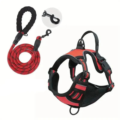 https://cdn.shopify.com/s/files/1/0647/9170/7830/files/harnais-pour-berger-allemand-avec-laisse-raccord-1500879.webp?v=1777924753