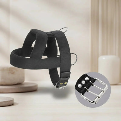 https://cdn.shopify.com/s/files/1/0647/9170/7830/files/harnais-pour-chien-en-y-molletonne-3209224.webp?v=1777924270