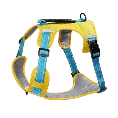 https://cdn.shopify.com/s/files/1/0647/9170/7830/files/harnais-pour-chien-husky-5414108.webp?v=1777923854