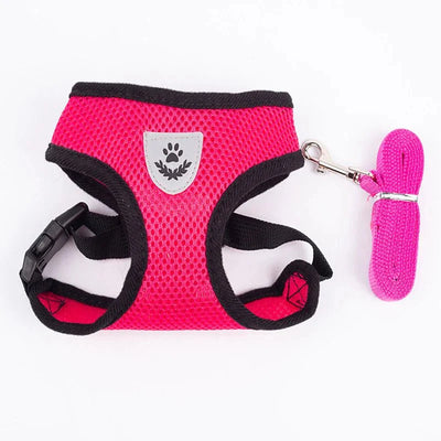https://cdn.shopify.com/s/files/1/0647/9170/7830/files/harnais-pour-chihuahua-2210720.webp?v=1777924636
