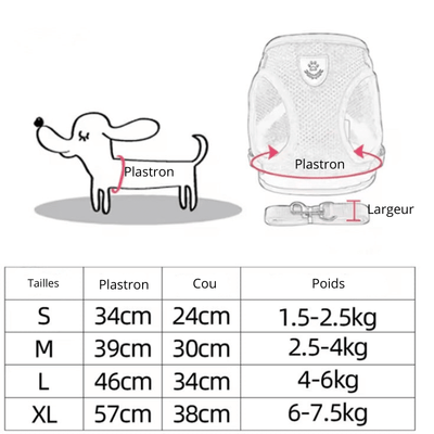 https://cdn.shopify.com/s/files/1/0647/9170/7830/files/harnais-pour-chihuahua-3548827.png?v=1777924637