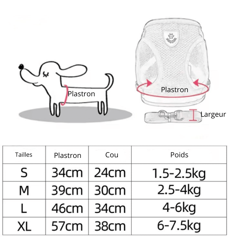 https://cdn.shopify.com/s/files/1/0647/9170/7830/files/harnais-pour-chihuahua-9897744.webp?v=1777924637