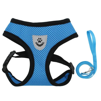 https://cdn.shopify.com/s/files/1/0647/9170/7830/files/harnais-pour-chihuahua-4502179.webp?v=1777924638