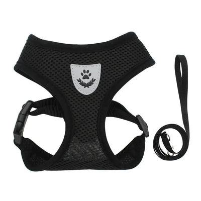 https://cdn.shopify.com/s/files/1/0647/9170/7830/files/harnais-pour-chihuahua-7828574.webp?v=1777924638