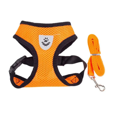 https://cdn.shopify.com/s/files/1/0647/9170/7830/files/harnais-pour-chihuahua-8719806.webp?v=1777924637