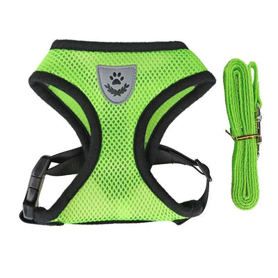 https://cdn.shopify.com/s/files/1/0647/9170/7830/files/harnais-pour-chihuahua-8971516.webp?v=1777924637