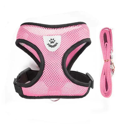 https://cdn.shopify.com/s/files/1/0647/9170/7830/files/harnais-pour-chihuahua-9765804.webp?v=1777924636
