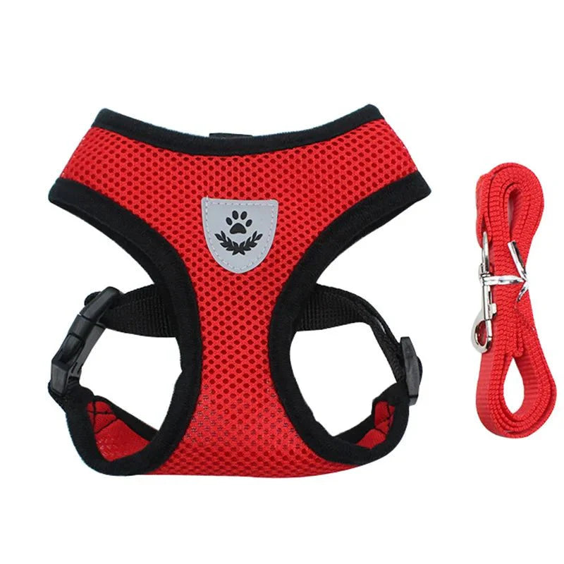 https://cdn.shopify.com/s/files/1/0647/9170/7830/files/harnais-pour-chihuahua-9897744.webp?v=1777924637