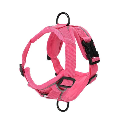 https://cdn.shopify.com/s/files/1/0647/9170/7830/files/harnais-pour-chiot-chihuahua-1617241.webp?v=1777923910