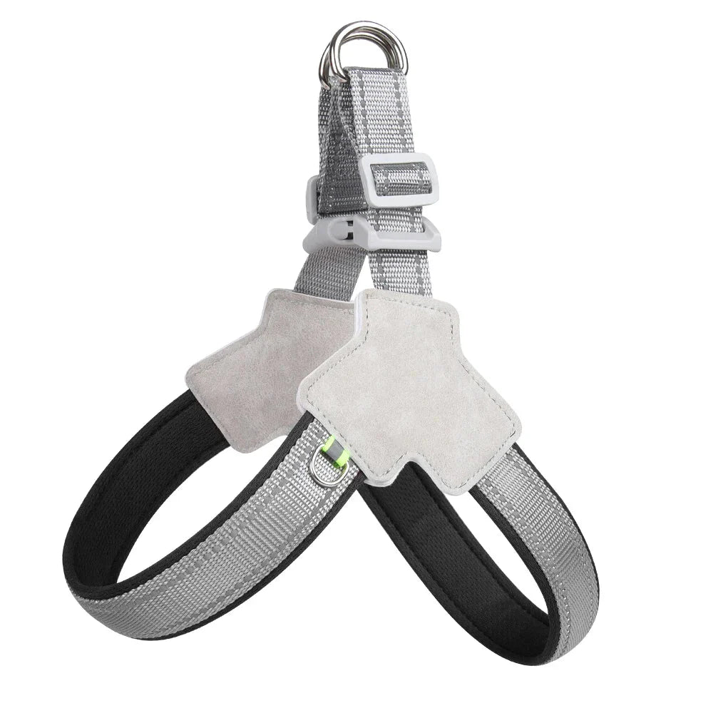 https://cdn.shopify.com/s/files/1/0647/9170/7830/files/harnais-pour-chiot-staff-2933952.webp?v=1777923674