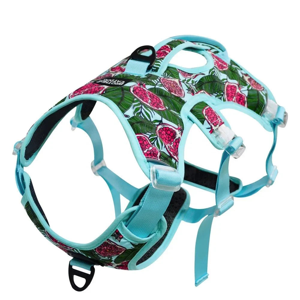 https://cdn.shopify.com/s/files/1/0647/9170/7830/files/harnais-pour-chiot-staffie-6830000.webp?v=1777923974