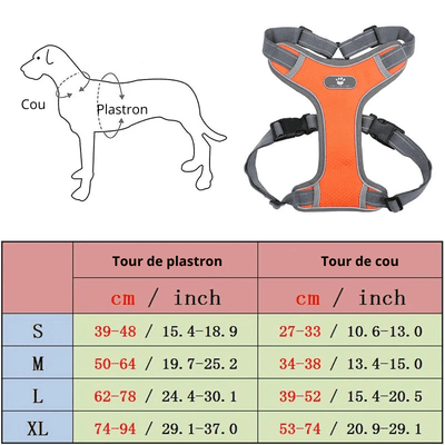 https://cdn.shopify.com/s/files/1/0647/9170/7830/files/harnais-pour-gros-chien-2758586.png?v=1777924691