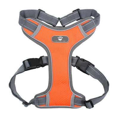 https://cdn.shopify.com/s/files/1/0647/9170/7830/files/harnais-pour-gros-chien-7064697.webp?v=1777924691