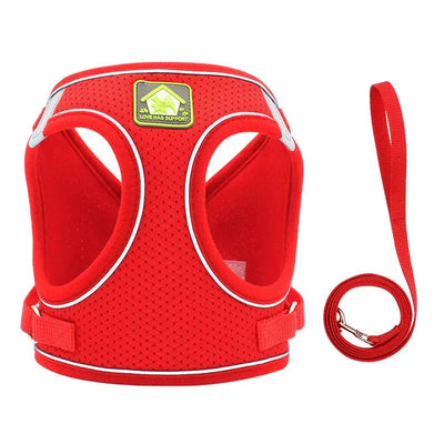 https://cdn.shopify.com/s/files/1/0647/9170/7830/files/harnais-pour-petit-chien-4-kg-2040178.webp?v=1777923260