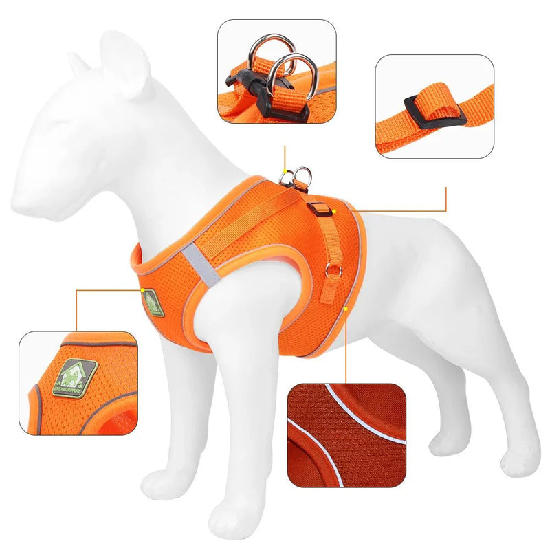 https://cdn.shopify.com/s/files/1/0647/9170/7830/files/harnais-pour-petit-chien-4-kg-8990508.webp?v=1777923261