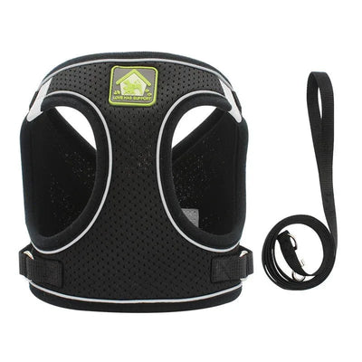 https://cdn.shopify.com/s/files/1/0647/9170/7830/files/harnais-pour-petit-chien-4-kg-4757107.webp?v=1777923260