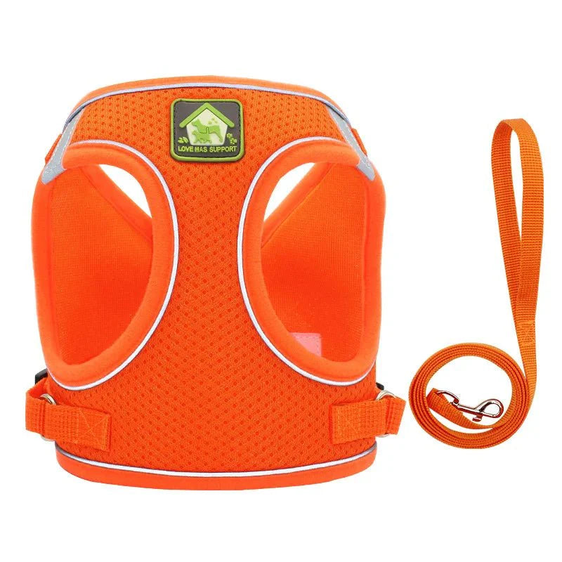 https://cdn.shopify.com/s/files/1/0647/9170/7830/files/harnais-pour-petit-chien-4-kg-8990508.webp?v=1777923261