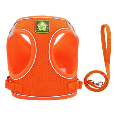 https://cdn.shopify.com/s/files/1/0647/9170/7830/files/harnais-pour-petit-chien-4-kg-8990508.webp?v=1777923261