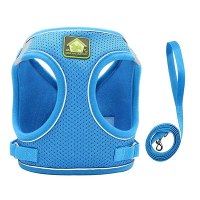 https://cdn.shopify.com/s/files/1/0647/9170/7830/files/harnais-pour-petit-chien-4-kg-9117906.webp?v=1777923261