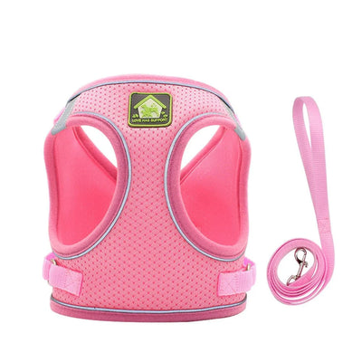 https://cdn.shopify.com/s/files/1/0647/9170/7830/files/harnais-pour-petit-chien-4-kg-9563920.webp?v=1777923259