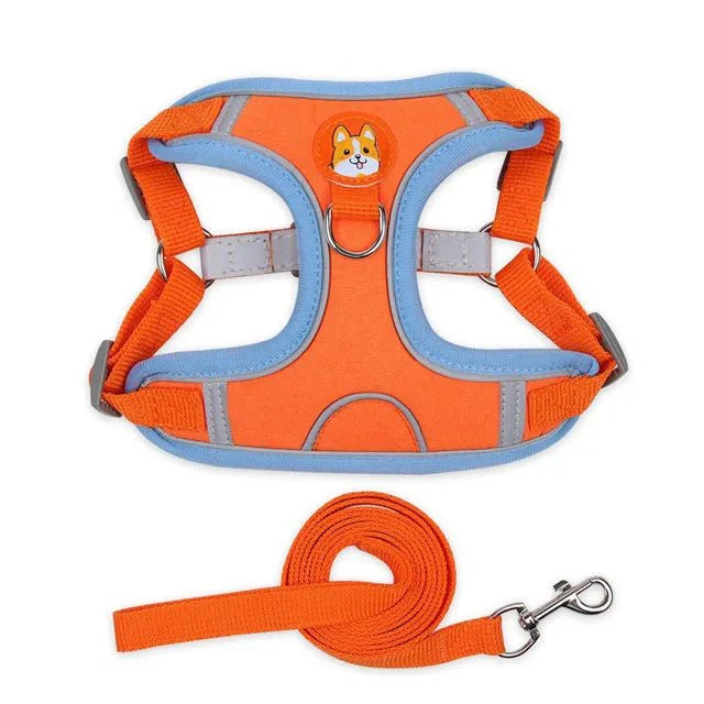 https://cdn.shopify.com/s/files/1/0647/9170/7830/files/harnais-pour-petit-chien-5-kg-3357648.webp?v=1777923197