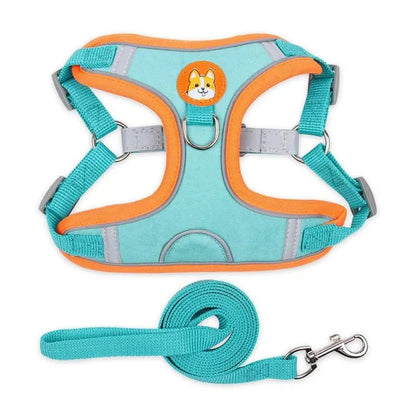 https://cdn.shopify.com/s/files/1/0647/9170/7830/files/harnais-pour-petit-chien-5-kg-4890447.webp?v=1777923198