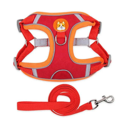 https://cdn.shopify.com/s/files/1/0647/9170/7830/files/harnais-pour-petit-chien-5-kg-7162061.webp?v=1777923199