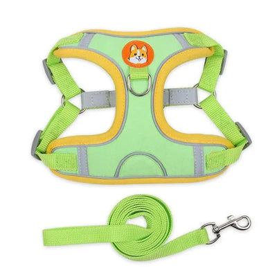 https://cdn.shopify.com/s/files/1/0647/9170/7830/files/harnais-pour-petit-chien-5-kg-8217579.webp?v=1777923199