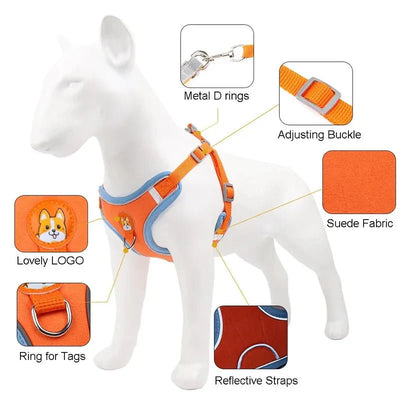 https://cdn.shopify.com/s/files/1/0647/9170/7830/files/harnais-pour-petit-chien-5-kg-9828260.webp?v=1777923199